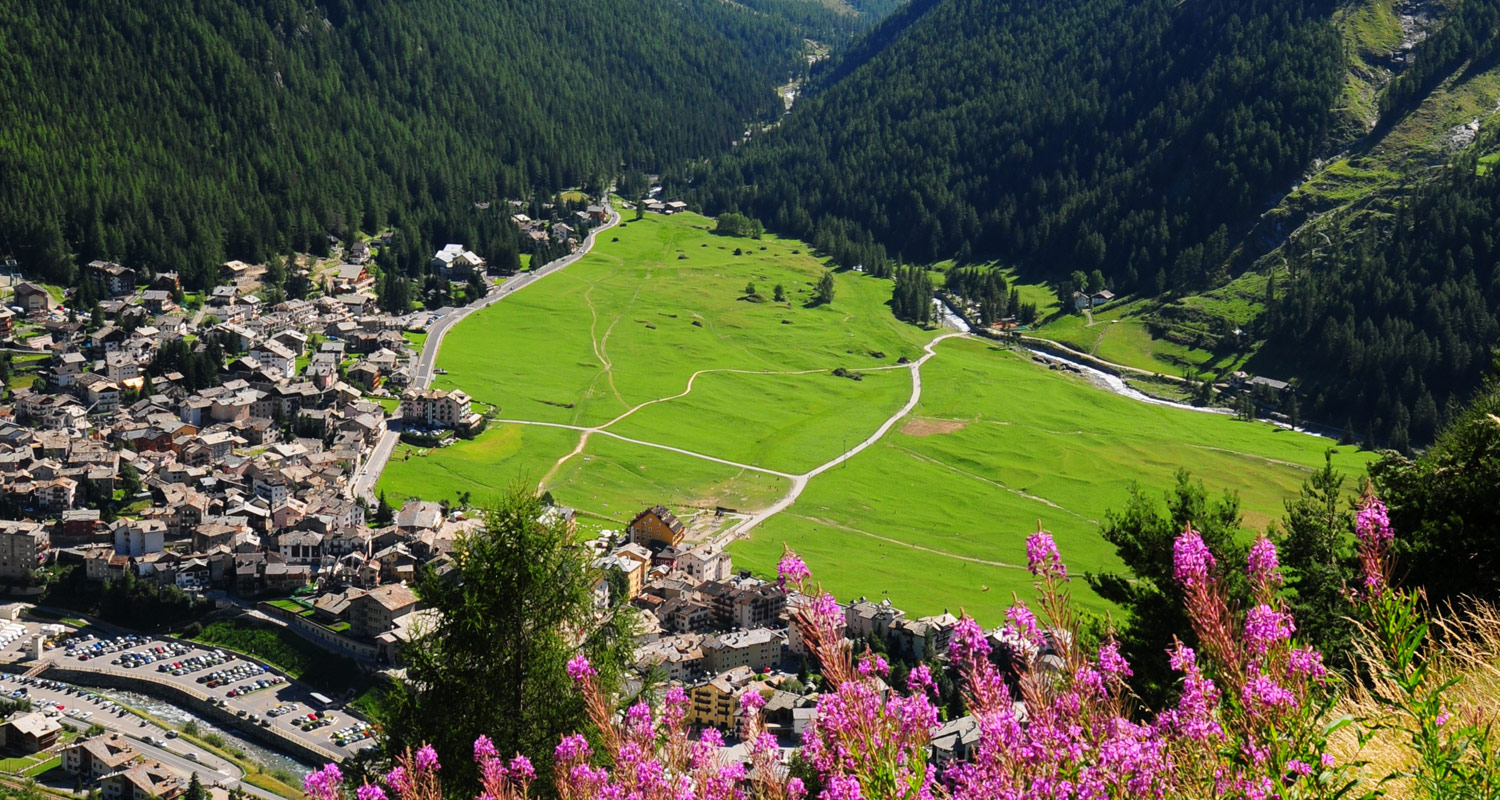 Eurocamping - I clienti fotografano